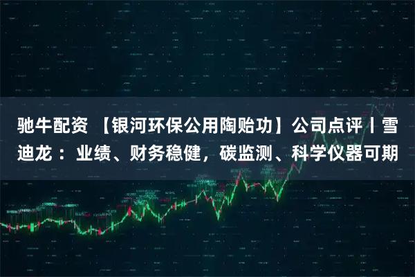 驰牛配资 【银河环保公用陶贻功】公司点评丨雪迪龙 ：业绩、财务稳健，碳监测、科学仪器可期